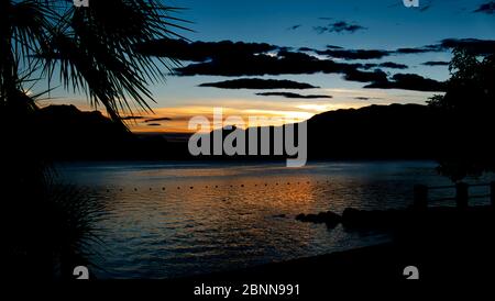 Atemberaubende Landschaft am Gardasee, mit Silhouette und Palmen Stockfoto