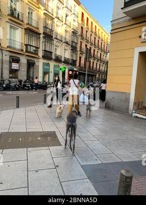 Madrid, Spanien - 1. Mai 11 2020: Blick auf die Festungsfahnen und Banner auf den Gebäuden der Stadt, nach der totalen Sperrung in Madrid durch Coronavirus (CO Stockfoto