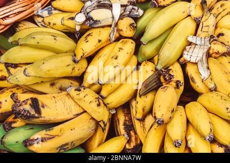 Trauben von reifen gelben Bananen auf einem Obstmarkt fotografiert. Überreife Banane. Tropische Früchte. Gesundes Lifestyle-Konzept, Quelle von Vitaminen. Stockfoto