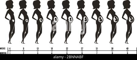 Schwangerschaftsstufen. Silhouetten von glücklichen Mutter mit Neugeborenen Kind weibliche Schwangerschaft Trimester Infografiken Vektorbilder Stock Vektor