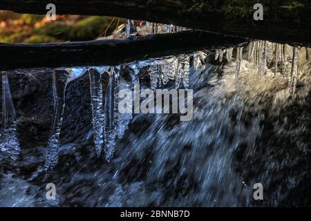 Loch Katrine in den Trossachs, Schottland. Stockfoto