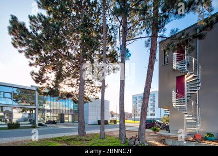 Bauhausgebäude Dessau, Bauhaus, Dessau-Roßlau, Sachsen-Anhalt, Deutschland, Architektur, Hausansicht, Stockfoto