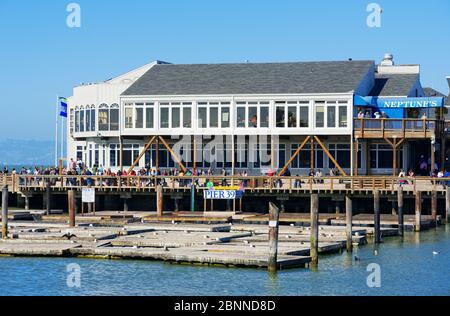 Pier 39, San Francisco, San Francisco, Kalifornien, USA Stockfoto