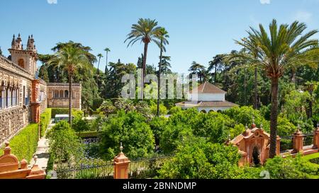 Üppige Gärten und Innenhöfe mit seltener tropischer exotischer Flora im Alcazar Palast, der königlichen Residenz und UNESCO-Weltkulturerbe, Sevilla Stockfoto