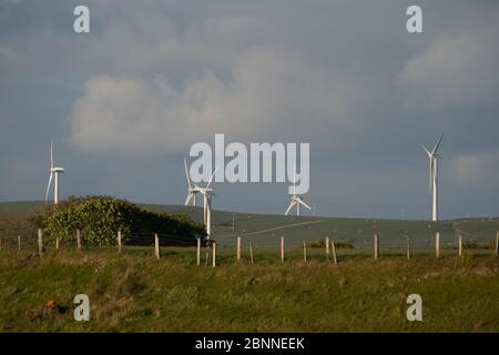 Sandscale Hawes National Nature Reserve, Barrow-in-Furness, Cumbria, Großbritannien. Mai 2020. Wetter in Großbritannien. Ein kalter Nordwestwind vor der Irischen See mit Sonnenschein und blauem Himmel von der Cumbrian Coast. Blick auf die Windräder auf den Furness Fells über dem Dorf Kirby von Sandscale Hawes an der Cumbrian Coast aus gesehen. Credit:Greenburn/Alamy Live News. Stockfoto