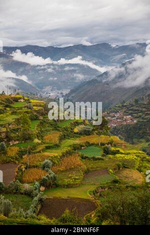 Landwirtschaftlichen Terrassen oben Tarma, Junín, Peru, Südamerika Stockfoto