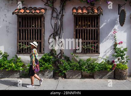 Frau, die die Straßen von Cartagena in Kolumbien erkundet Stockfoto