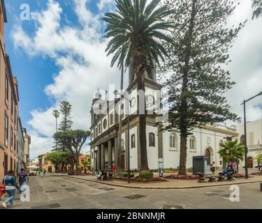 SAN CRISTOBAL DE LA LAGUNA, SPANIEN - 16. JUNI 2015: Kathedrale von San Cristobal de la Laguna. Alte Drachenbäume vor dem Haupteingang. Touristen und l Stockfoto