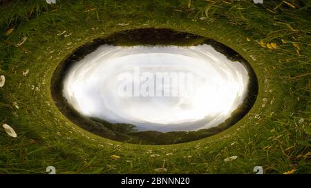 Eine Wiese der Schmetterlinge bei Sonnenuntergang. Mit Sonneneinstrahlung, auf dem Land an einem Frühlingsabend. Mit einer abstrakten, kreisförmigen, halluzinogenen Bearbeitung. Stockfoto