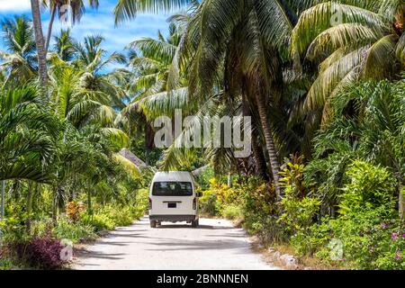 Tropische Vegetation auf L'Union Estate Farm, La Digue Island, Seychellen, Stockfoto