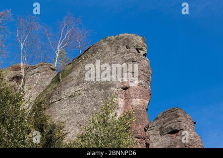 Deutschland, Baden-Württemberg, Calw, Bad Herrenalb, Naturpark Schwarzwald, Naturdenkmal Falkenfelsen Stockfoto