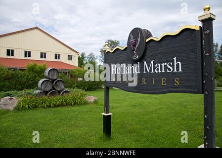 Orangeville, Ontario / Kanada - 09. Juli 2017: Holland Marsh Wineries - Shop and Taste room. Stockfoto