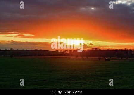 Sonnenuntergang auf einem landwirtschaftlichen Feld am Stadtrand von Potsdam im Februar, ländliche Idylle mit Traktor und Gänsen am Himmel Stockfoto