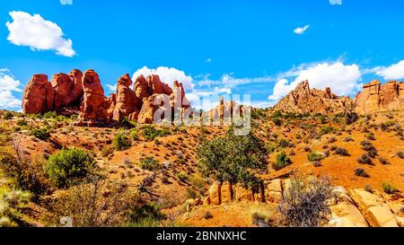 Einzigartige Red Sandstone Pinnacles und Felsrinnen im Garten Eden im Arches National Park in der Nähe der Stadt Moab in Utah, USA Stockfoto