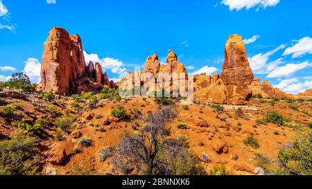 Einzigartige Red Sandstone Pinnacles und Felsrinnen im Garten Eden im Arches National Park in der Nähe der Stadt Moab in Utah, USA Stockfoto