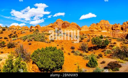 Einzigartige Red Sandstone Pinnacles und Felsrinnen im Garten Eden im Arches National Park in der Nähe der Stadt Moab in Utah, USA Stockfoto