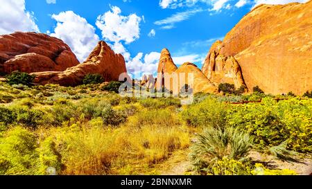 Einzigartige Red Sandstone Pinnacles und Felsrinnen im Devil's Garden im Arches National Park in der Nähe der Stadt Moab in Utah, USA Stockfoto