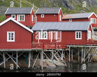 rote Fischerhäuser, Rorbuer, Lofoten, Norwegen Stockfoto