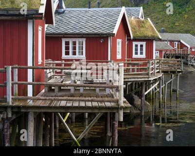 rote Fischerhäuser, Rorbuer, Lofoten, Norwegen Stockfoto