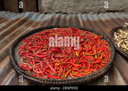 Chilischoten zum Trocknen auf einem Dach in Nepal Stockfoto