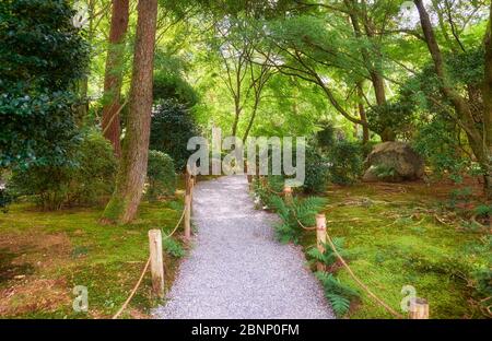 Der Blick auf den weißen Kiesweg durch den traditionellen japanischen Moos Park des Ryoan-ji Tempels. Kyoto. Japan Stockfoto