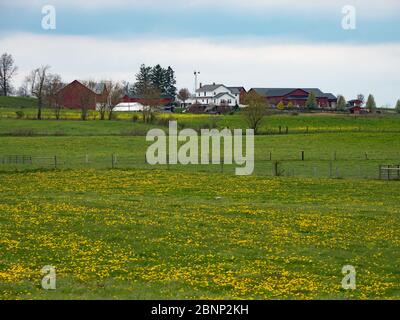 Die sanften Hügel und Amish Communtiy von Holmes County, Ohio USA Stockfoto