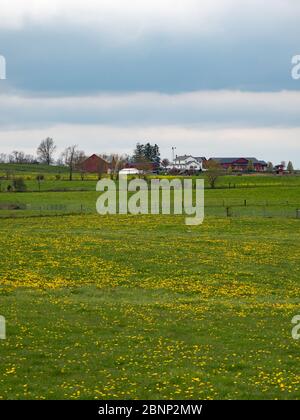 Die sanften Hügel und Amish Communtiy von Holmes County, Ohio USA Stockfoto