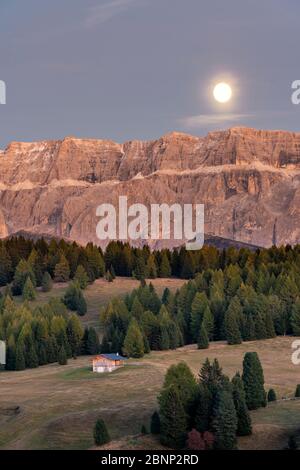 Seiser Alm, Kastelruth, Südtirol, Bozen, Italien, Europa. Der Mond steigt über die Sellagruppe Stockfoto