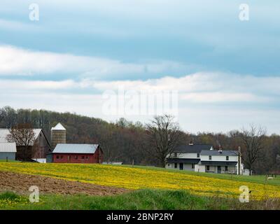 Die sanften Hügel und Amish Communtiy von Holmes County, Ohio USA Stockfoto