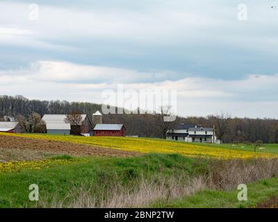 Die sanften Hügel und Amish Communtiy von Holmes County, Ohio USA Stockfoto