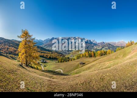 Hochabtei / Alta Badia, Bozen, Südtirol, Italien, Europa. Herbst in den Armentara Wiesen. Blick über das hohe Abteital nach Marmolada, Sellagruppe, Sassongher, Puez-Gruppe und Peitlerkofel Stockfoto