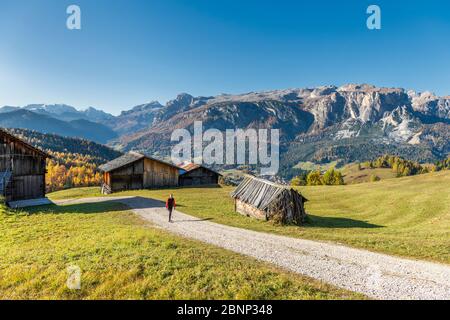 Hochabtei / Alta Badia, Bozen, Südtirol, Italien, Europa. Aufstieg zu den Armentara Wiesen Stockfoto