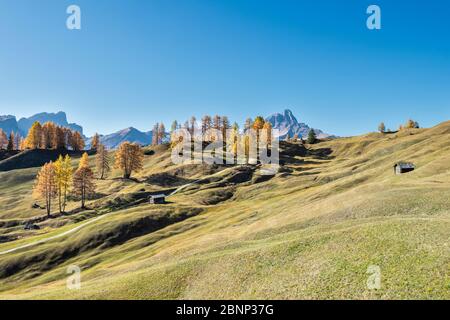 Hochabtei / Alta Badia, Bozen, Südtirol, Italien, Europa. Herbst auf den Armentara-Wiesen, hinter den Geislerspitzen und dem Peitlerkofel Stockfoto