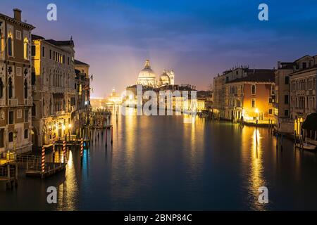 Canal Grande bei Nacht, Palazzo Cavalli-Franchetti, Santa Maria della Salute, Venedig, historisches Zentrum, Venetien, Italien, Norditalien, Rialto, Europa Stockfoto