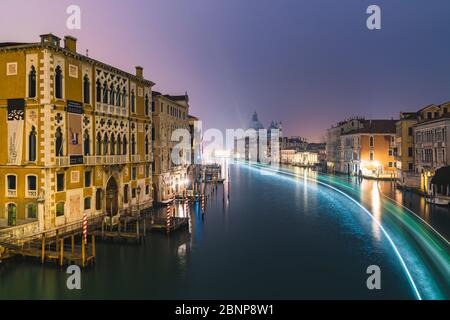 Canal Grande bei Nacht, Palazzo Cavalli-Franchetti, Santa Maria della Salute, Venedig, historisches Zentrum, Venetien, Italien, Norditalien, Rialto, Europa Stockfoto