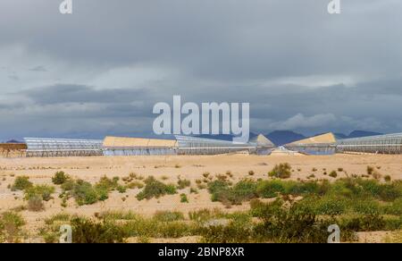 Elektrische Station von solarem Wasser Heizsystem von Sonnenlicht Sonnenkollektoren auf Thermo-Elektro-Station Arizona Wüste Stockfoto