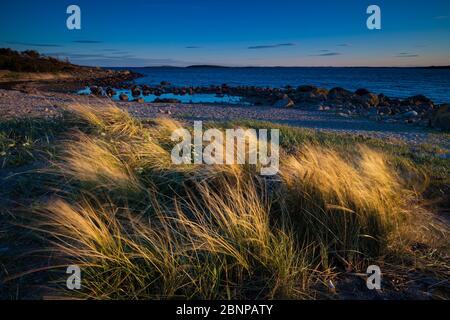 Schönes Abendlicht am Oslofjord am Larkollen in Rygge, Østfold, Norwegen Stockfoto