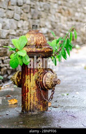 Der Hydrant kann nach Ablauf seiner Zeit eine Lebensdauer erreichen Stockfoto