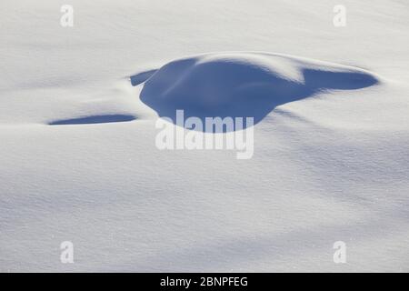 Finnland, Lappland, Winter, Schneedecke, Detail Stockfoto