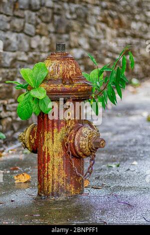 Der Hydrant kann nach Ablauf seiner Zeit eine Lebensdauer erreichen Stockfoto