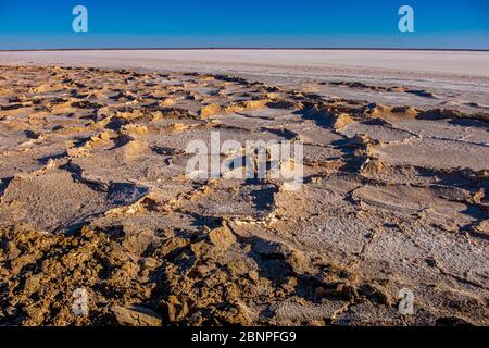 Sonnenuntergang / Sonnenaufgang an weißen Salzkrusten auf Schlamm am Ufer der großen, ariden Zone Kati Thanda-Lake Eyre im Outback im Norden von Südaustralien Stockfoto