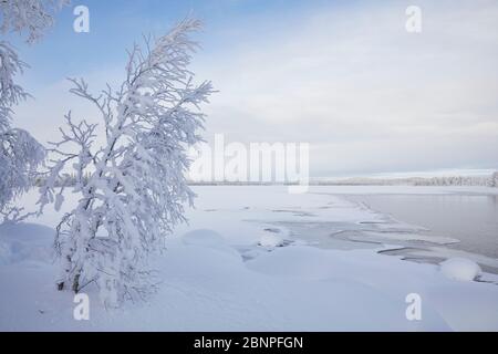 Finnland, Lappland, Winter, Landschaft, See Stockfoto