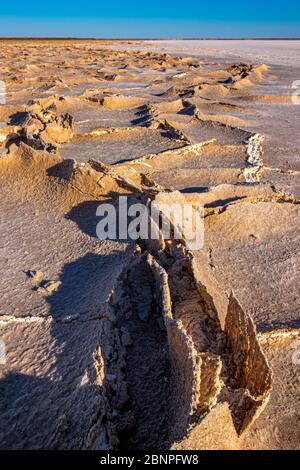 Sonnenuntergang / Sonnenaufgang an weißen Salzkrusten auf Schlamm am Ufer der großen, ariden Zone Kati Thanda-Lake Eyre im Outback im Norden von Südaustralien Stockfoto