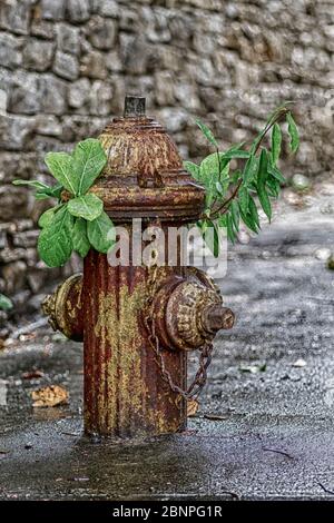 Der Hydrant kann nach Ablauf seiner Zeit eine Lebensdauer erreichen Stockfoto