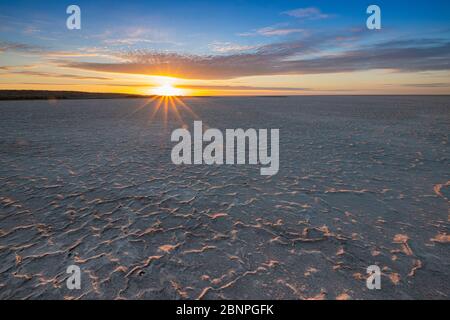 Sonnenuntergang / Sonnenaufgang an weißen Salzkrusten auf Schlamm am Ufer der großen, ariden Zone Kati Thanda-Lake Eyre im Outback im Norden von Südaustralien Stockfoto