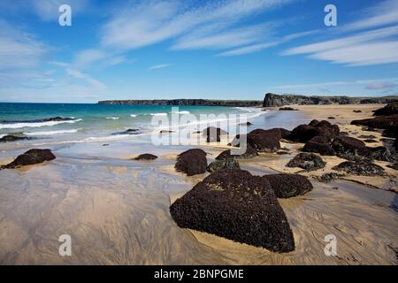 Sandstrand und algenbedeckte Basaltfelsen in der Skardsvik Bay bei Hellissandur auf der Halbinsel Snaefellsnes. Stockfoto