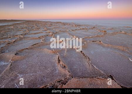 Sonnenuntergang / Sonnenaufgang an weißen Salzkrusten auf Schlamm am Ufer der großen, ariden Zone Kati Thanda-Lake Eyre im Outback im Norden von Südaustralien Stockfoto