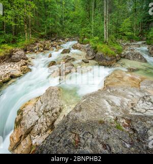 Bergbach Ramsauer Ache im verzauberten Wald, Nationalpark Berchtesgaden, Ramsau, Berchtesgadener Land, Oberbayern, Bayern, Deutschland Stockfoto