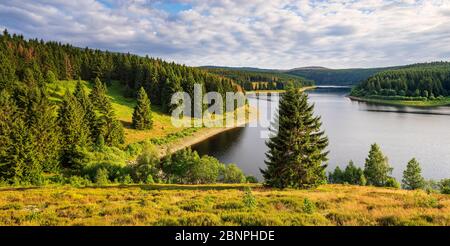 Abendstimmung an der Eckertalsperre, auch Eckerstausee, Trinkwasserstaudamm, Nationalpark Harz, Sachsen-Anhalt, Deutschland Stockfoto