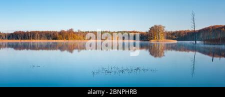 Deutschland, Mecklenburg-Vorpommern, Müritz Nationalpark im Herbst, Stiller See mit Morgennebel, bunter Wald reflektiert, Panorama Stockfoto